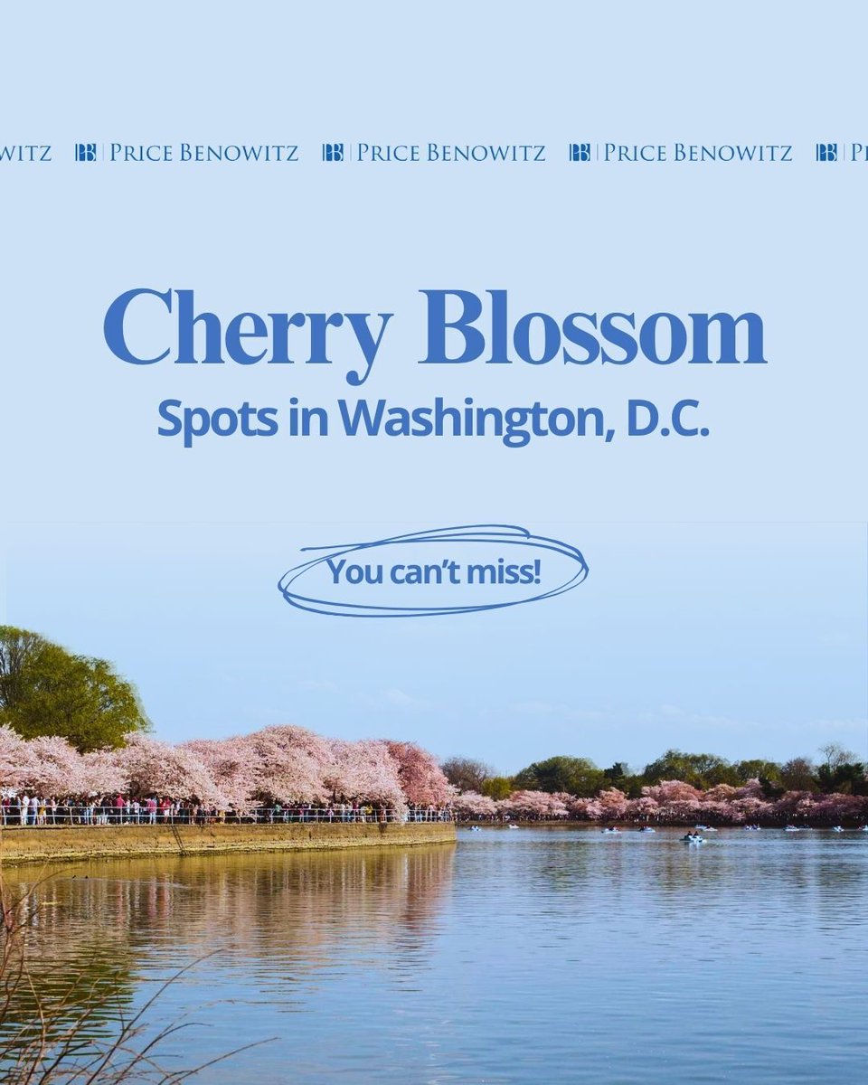 PriceBenowitz's tweet photo. Cherry blossom plans? We’ve got your spots 🌸
From iconic views at the Tidal Basin to hidden gems just outside the city, these are some of the best places around the DMV to catch peak bloom.
#DMVEvents #PriceBenowitz #DCTravel #ExploreDC https://t.co/r7LT7LbRn4