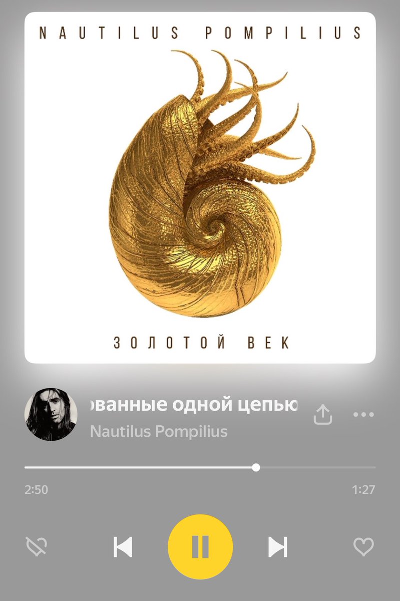 Попонька с приключениями tweet media