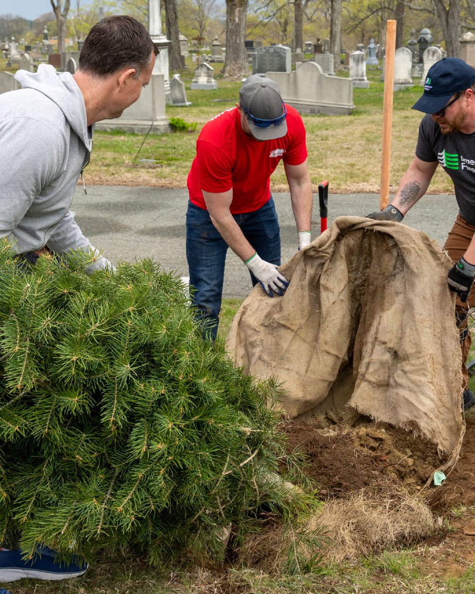 American Forests tweet media