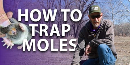 K-State's Turf and Landscape Management Team tweet media