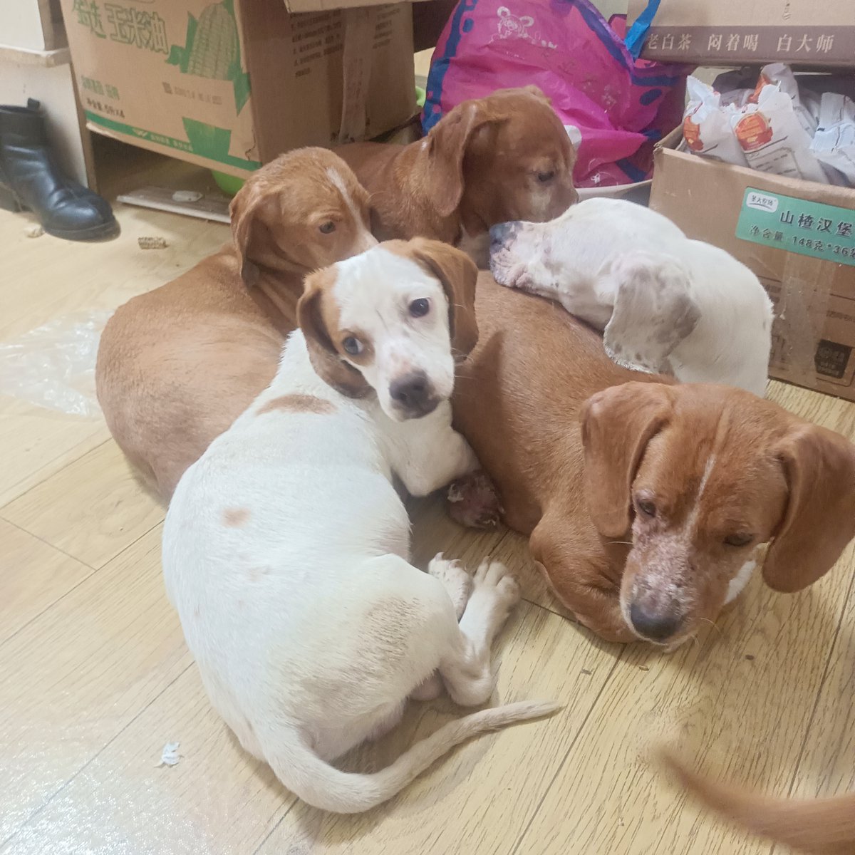 Kyrah Armour tweet media