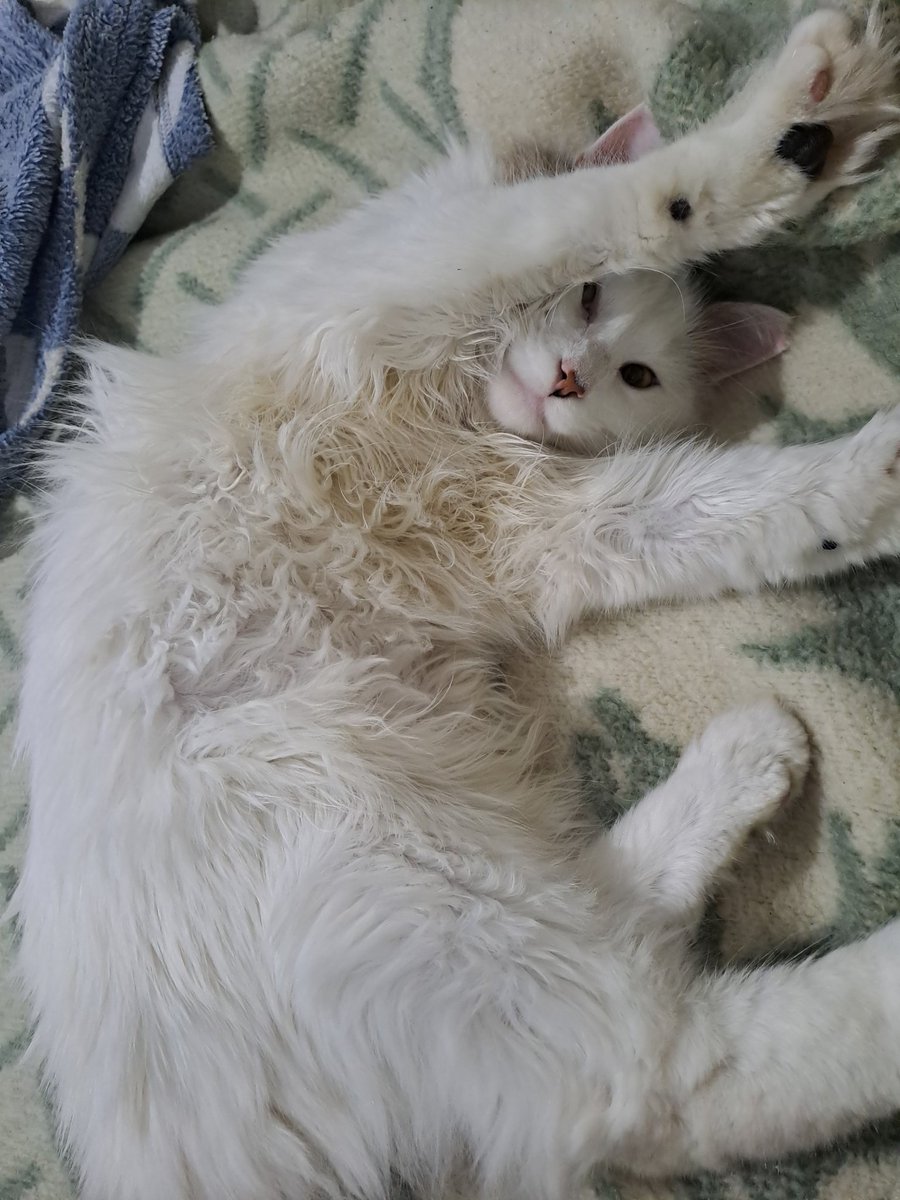 #FUCSIA_OFFICIAL 💜 tweet media