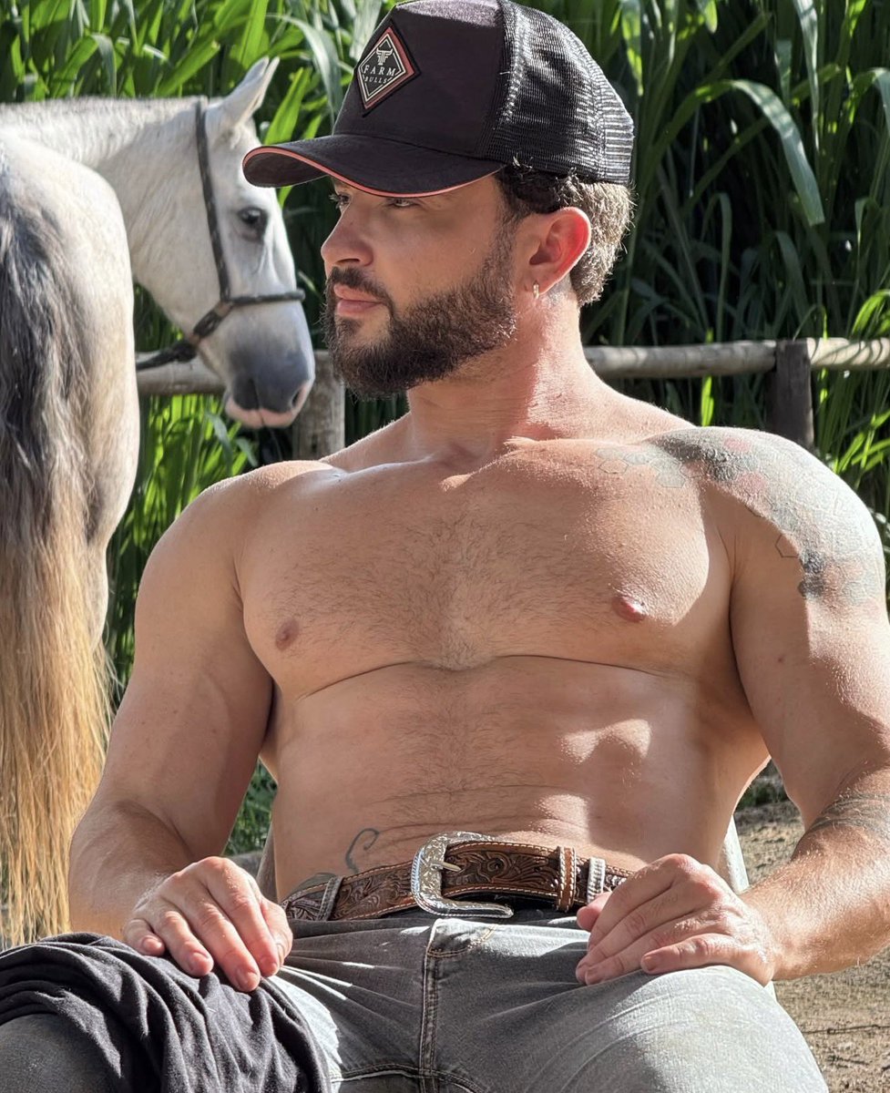 Desafiologia. tweet media