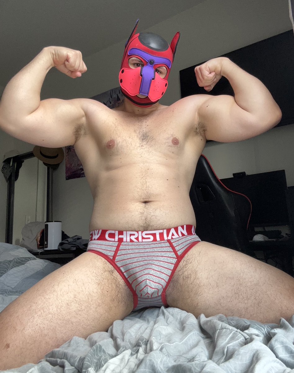 Pup Scarlet 🔜 FWA tweet media