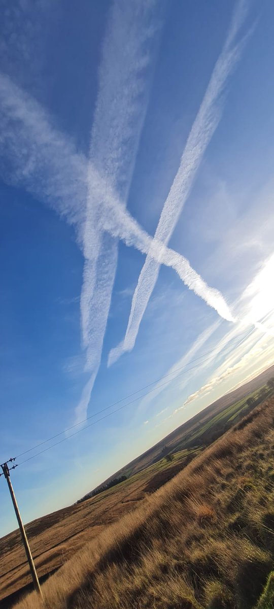 ANGRYNIC tweet media