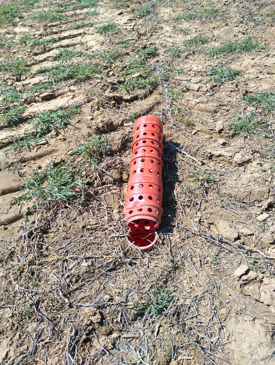 David R Wessel tweet media