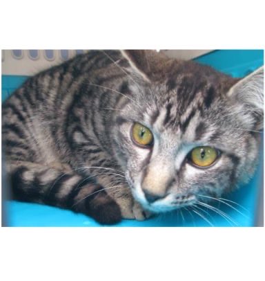 ヘタレ福祉職員@痛恨のヤメルヤメル詐欺 tweet media