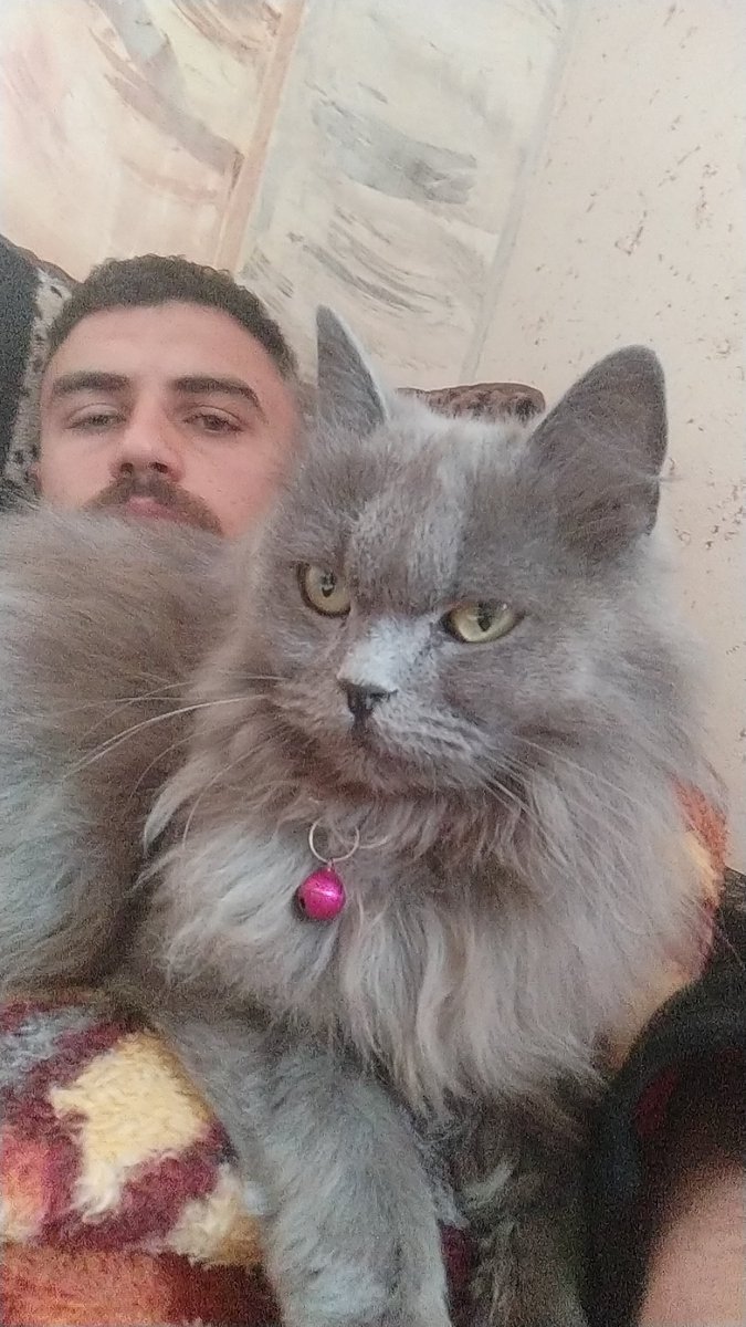 My account is being restricted

If you see this tweet, reply with 🇵🇸