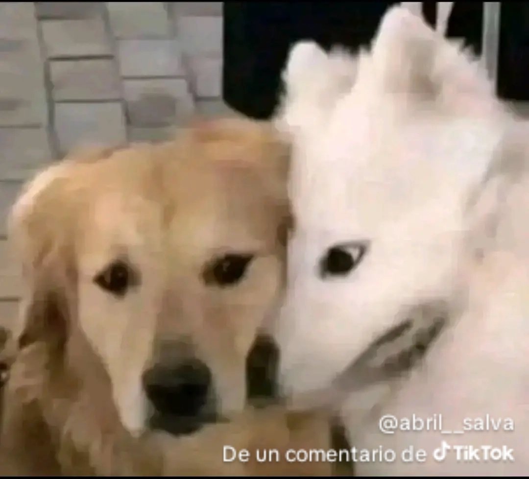 Nami_Bot tweet media