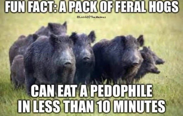 Marie Isabella tweet media