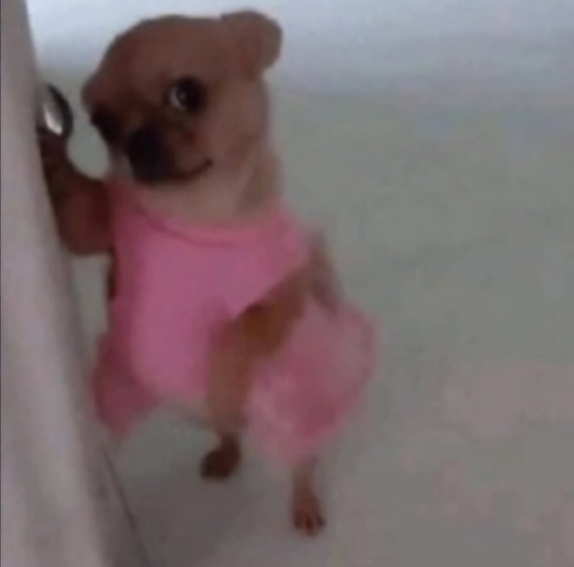 محمد ريوزاكي tweet media