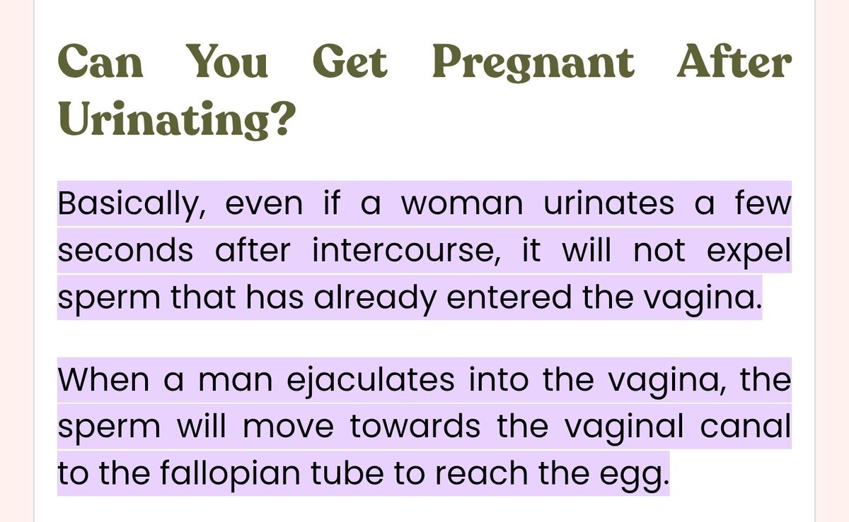 Morty Williams tweet media