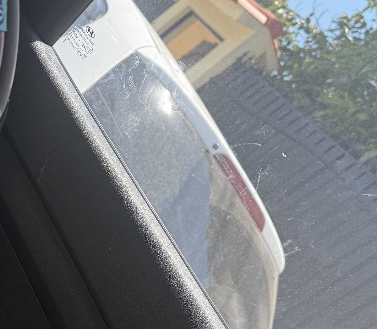 Dinora Rosales tweet media