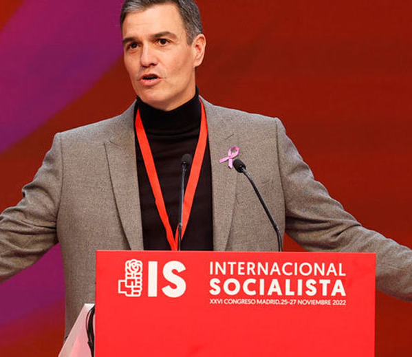 El Trumpista tweet media