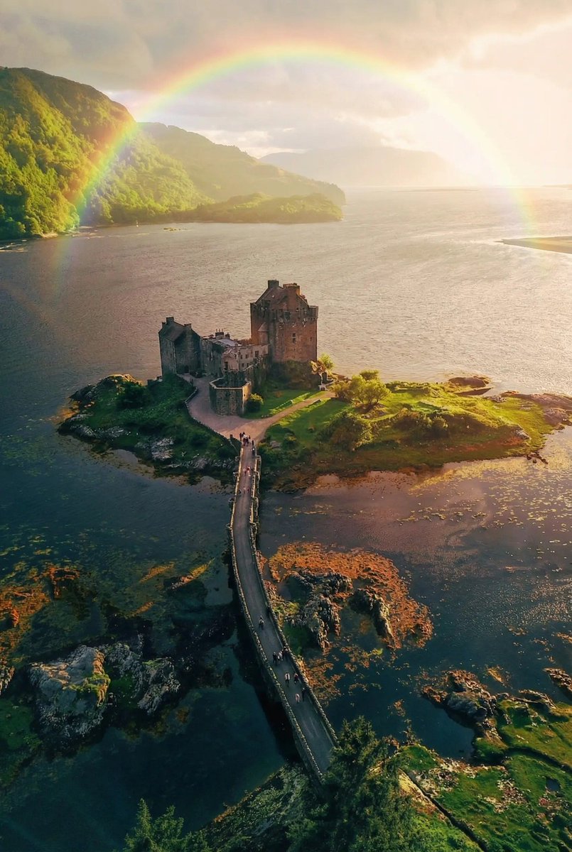 freddie barss tweet media