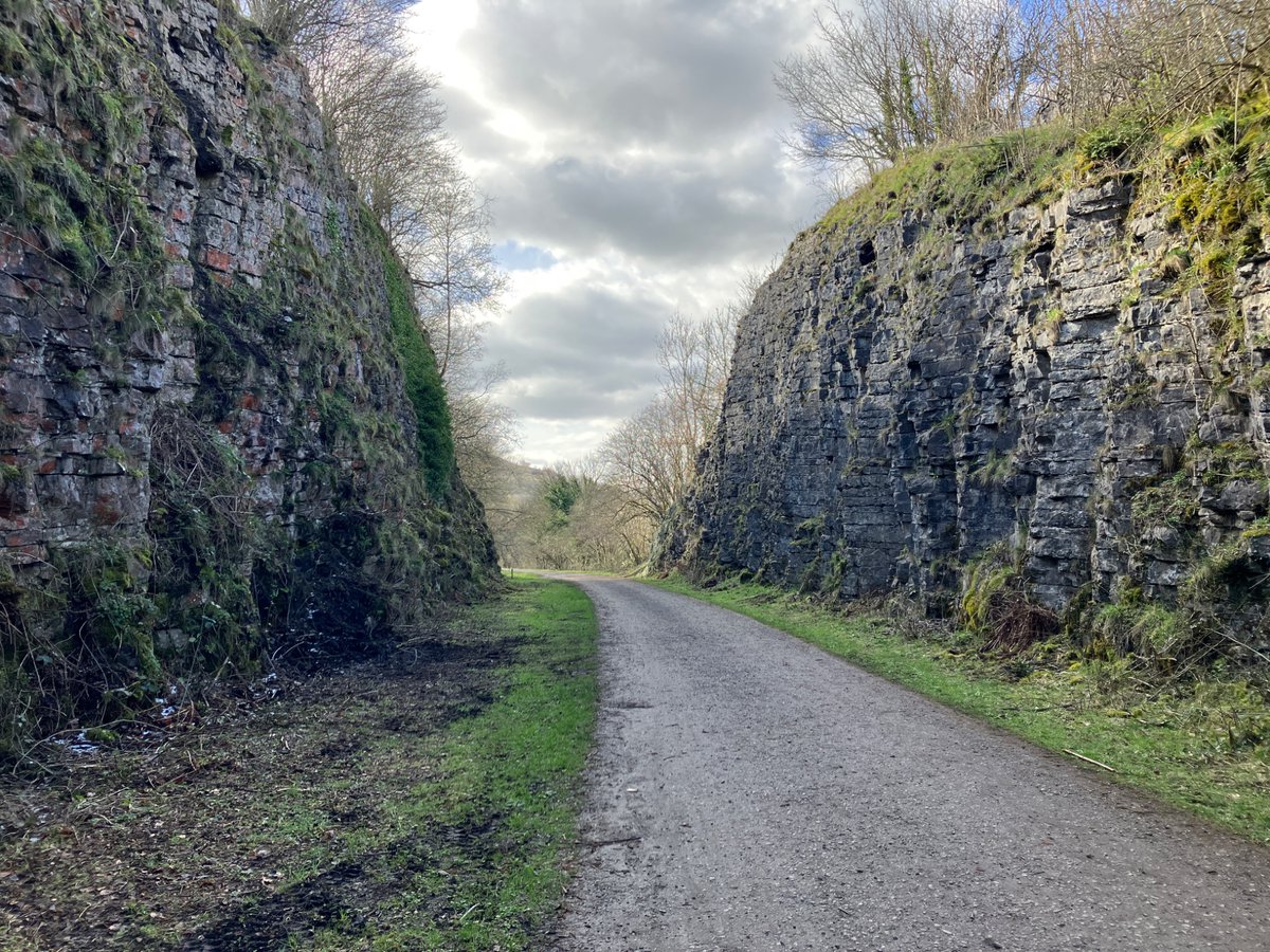 A Walkers Tale tweet media