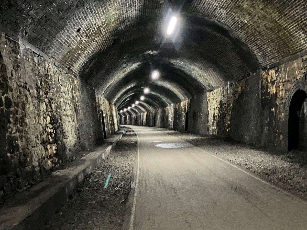 A Walkers Tale tweet media