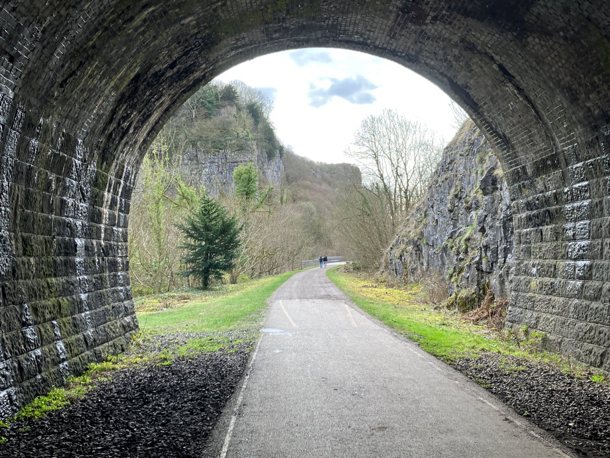 A Walkers Tale tweet media