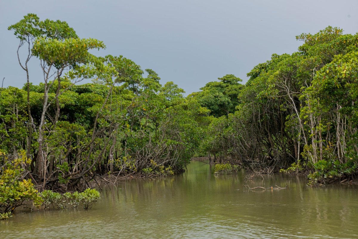 Octavian Nothing tweet media