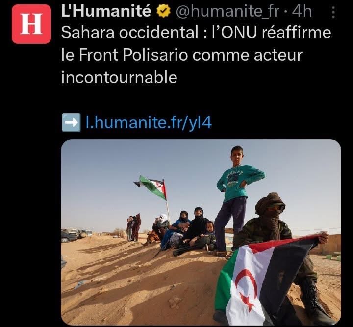 ★彡كــفاح彡★™ tweet media