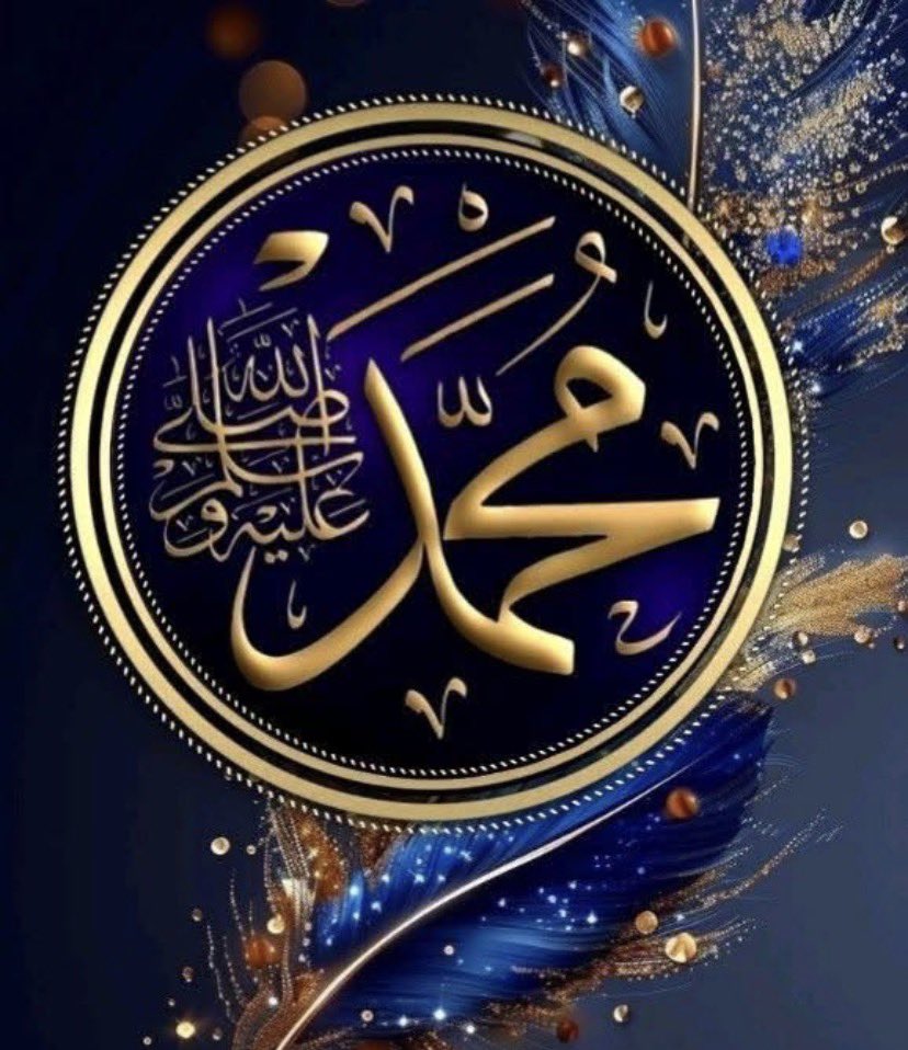 Black Sea Wind 6116 Kuzey Bey (Northerner) tweet media