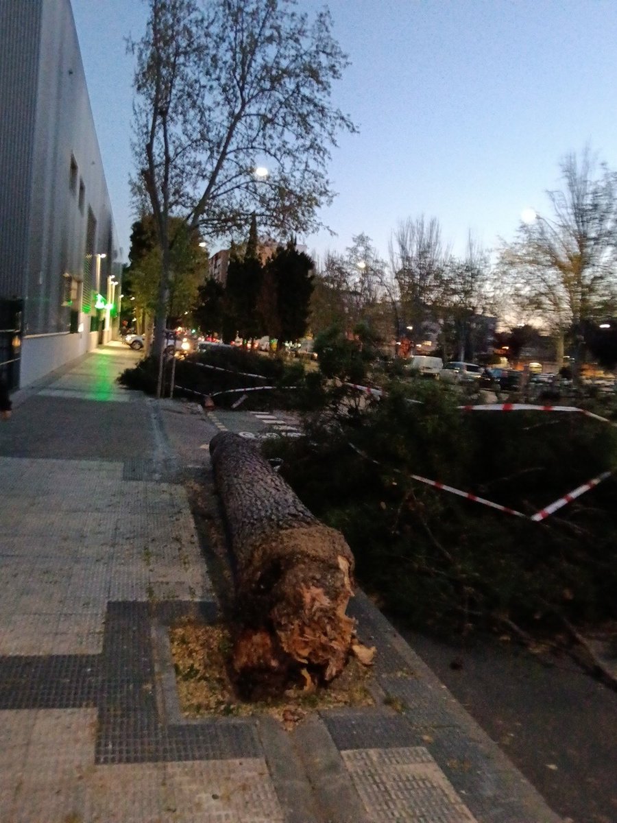 El Señor Oscuro del Có tweet media