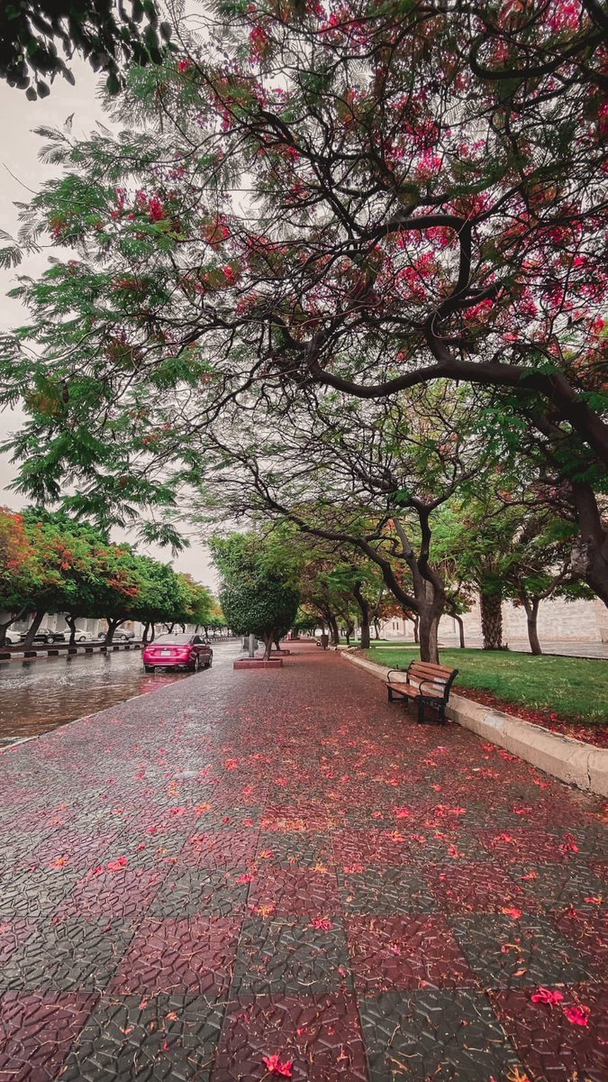 tc_gov's tweet photo. #أمانة_الطائف | أجواء الطائف مع المطر غير 🌧️

"أمطرت الطائف.. فزادها المطر جمالاً"❤️
#الطائف https://t.co/cC3AzNSMcR