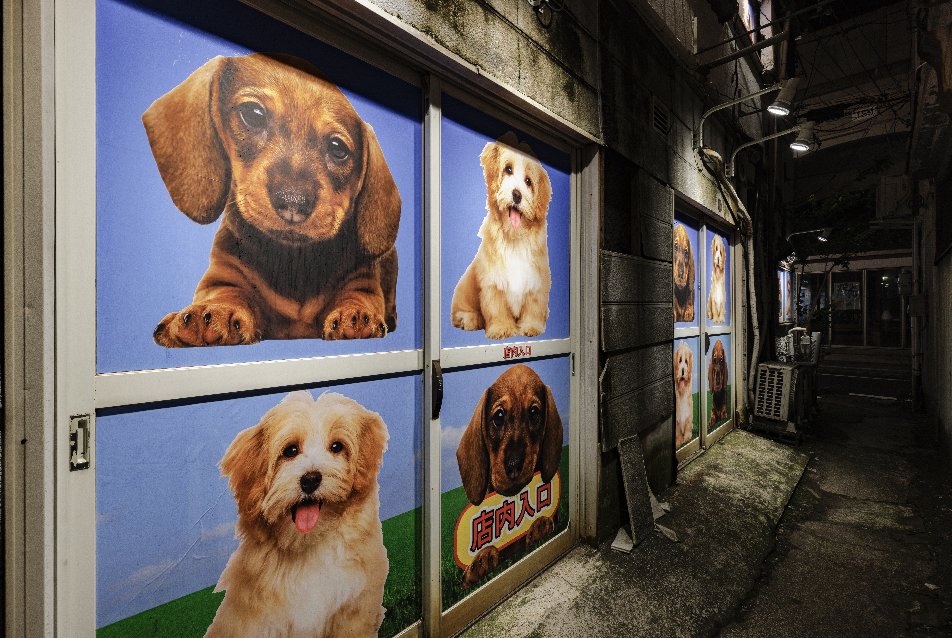 Richmond Art Gallery tweet media