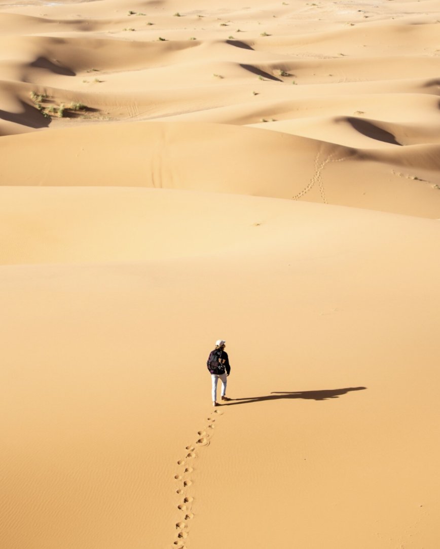 Paroles de Combattants de la Libération tweet media