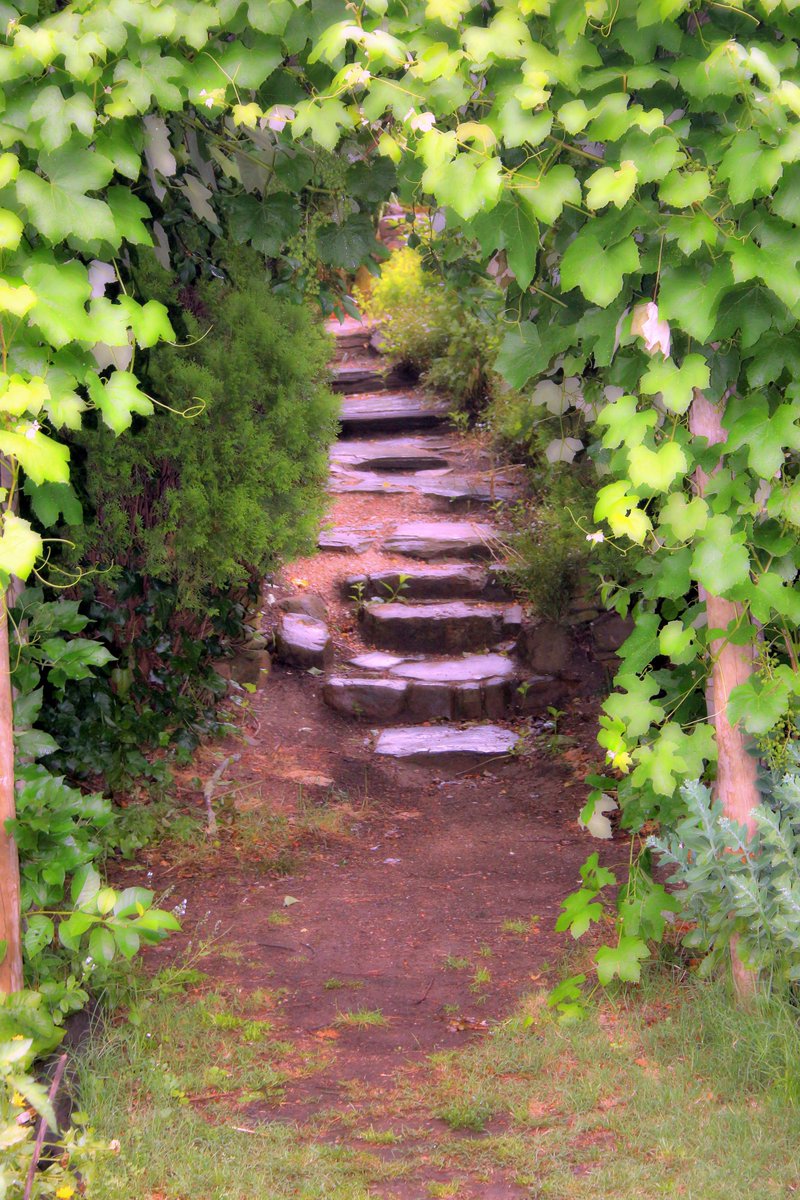 Lilith@not_goy tweet media