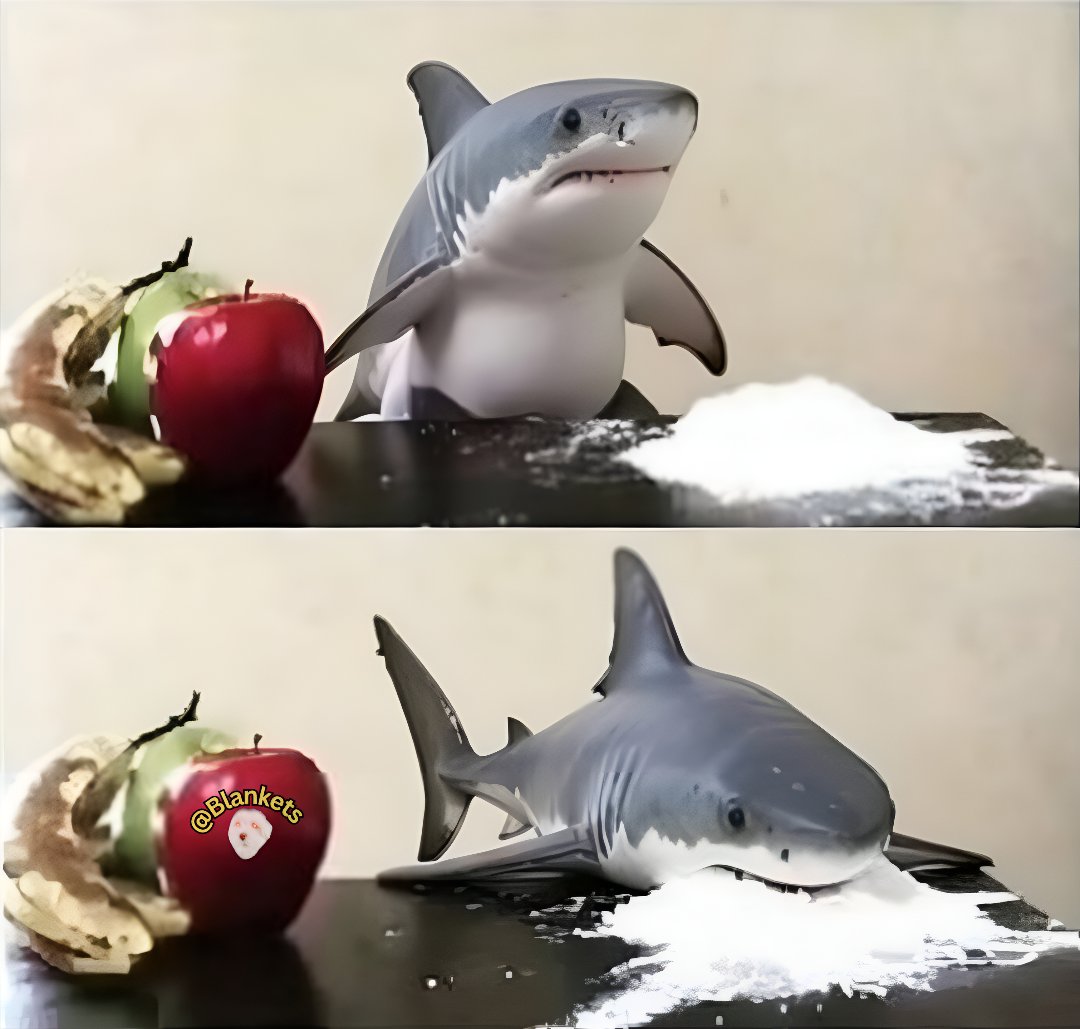 @Blankets tweet media