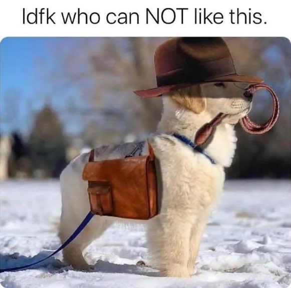 ULTRA Grizzly Biker DAD tweet media