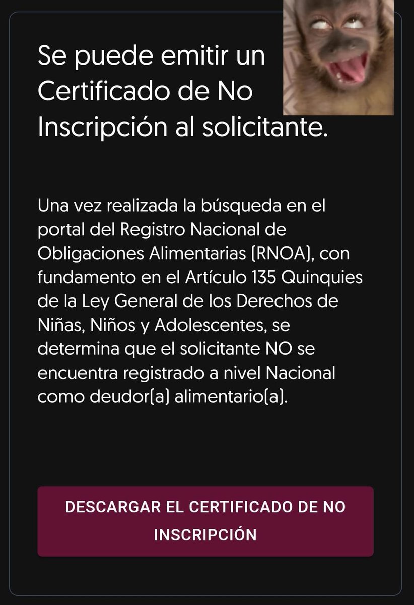 Doguito del Costco tweet media