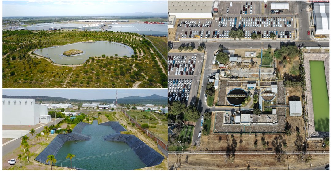 LILIA MEDINA FLORES tweet media