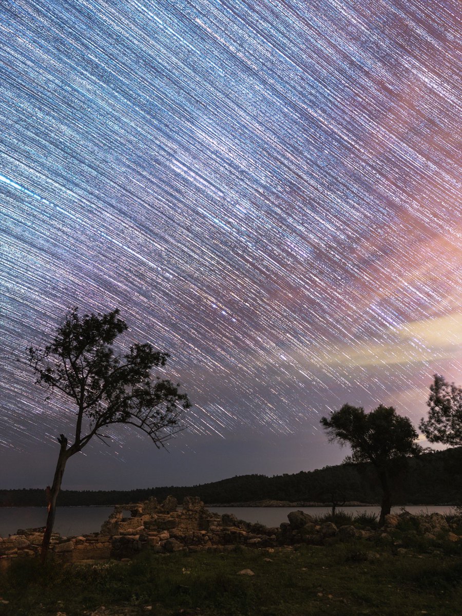 Aslı Aydın Bayer tweet media