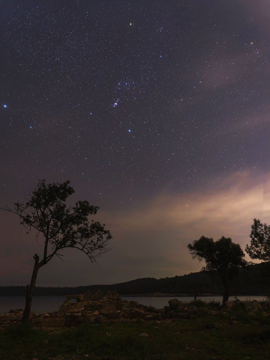 Aslı Aydın Bayer tweet media