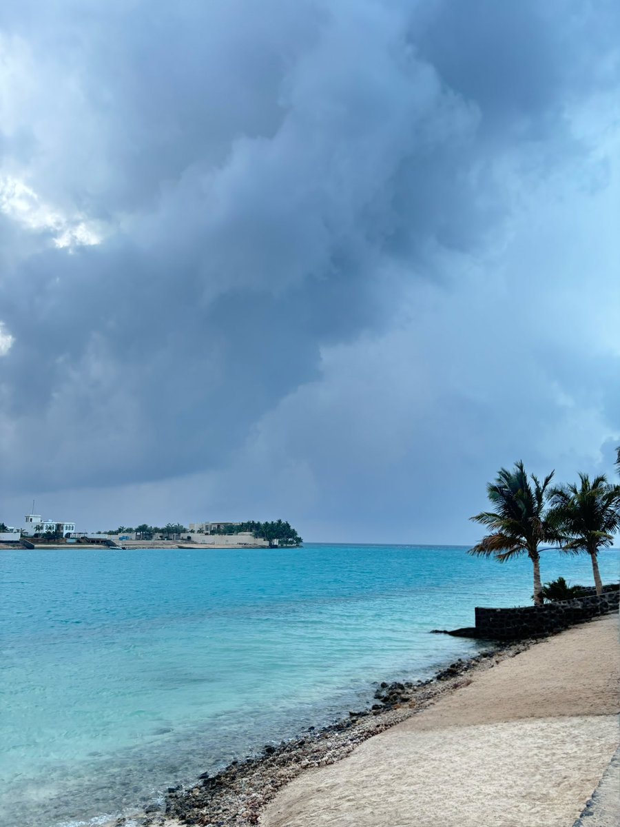 Ibtissam tweet media