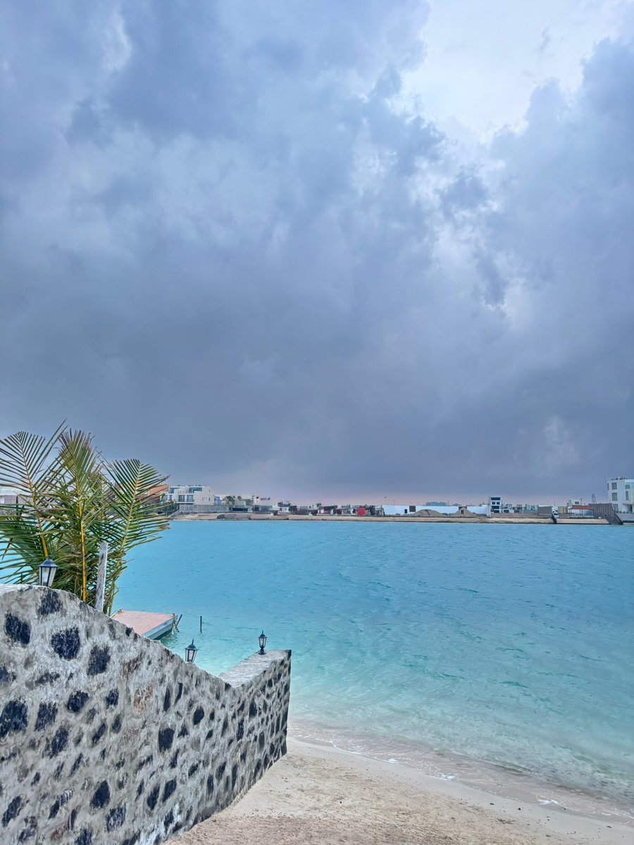 Ibtissam tweet media