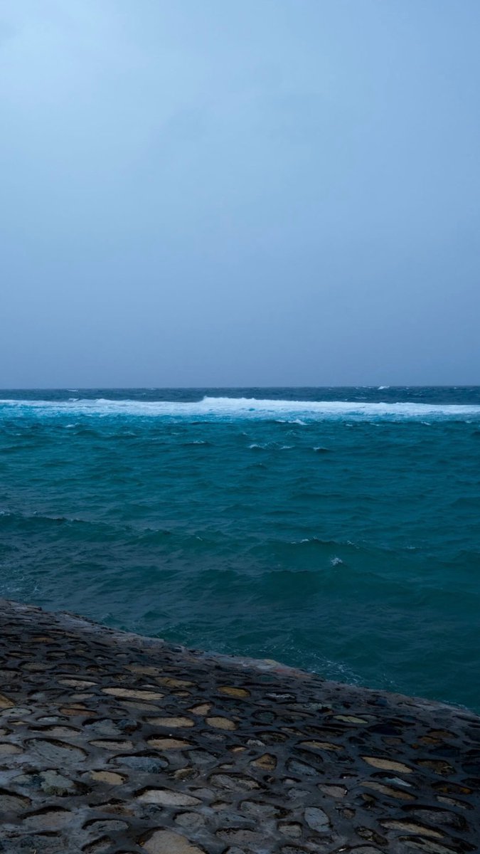 العَوم tweet media