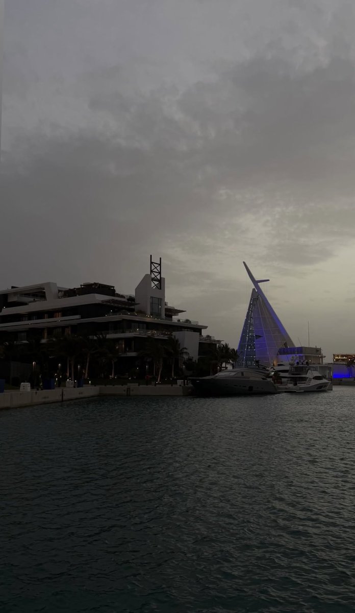 العَوم tweet media