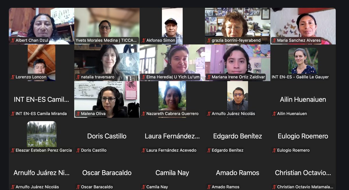 RedTiccaLA's tweet photo. 🌀🐚TALLER | Hoy realizamos el taller "Guía de Autofortalecimiento: una guía de comunidades para comunidades" con la facilitación de Albert Chan Dzul, coordinador subregión Mesoamérica
🌻Agradecemos a las personas que participaron desde diferentes territorios de Abya Yala.
🧵 https://t.co/2aG2A320dl