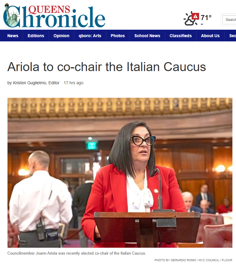 Joann Ariola NYC Council District 32 tweet media
