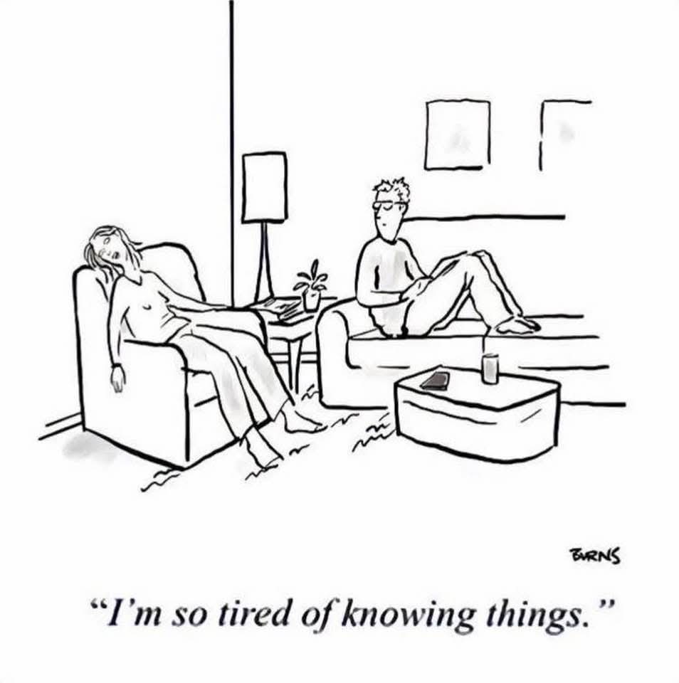 Maureen O'Connor 🏳️🌈 🏳️⚧️🍉 tweet media