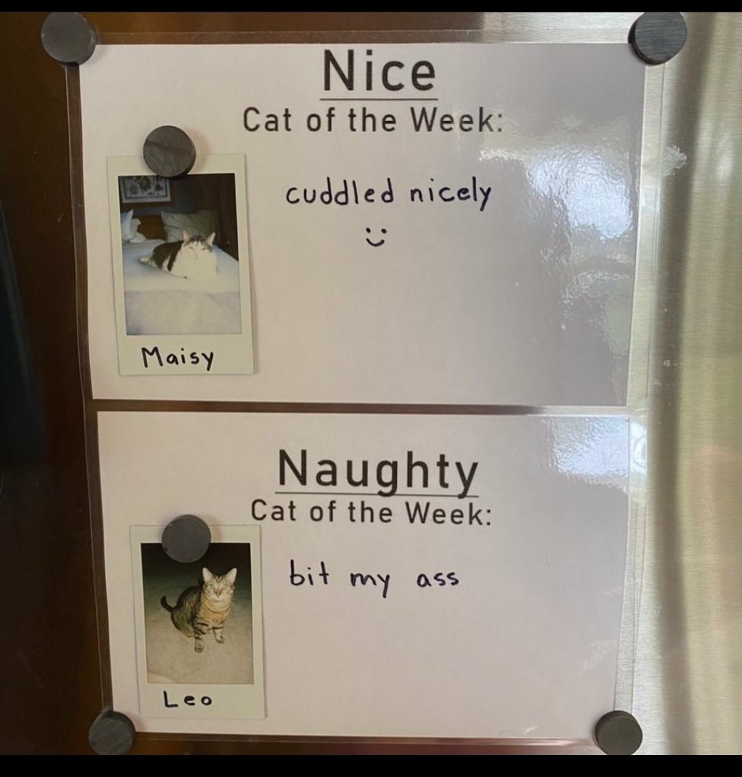 professor pervert tweet media