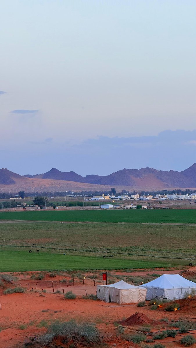 وليد الشمري tweet media