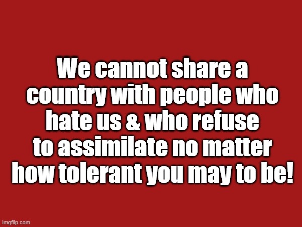 🇺🇸 One fed up American 🇺🇸 tweet media