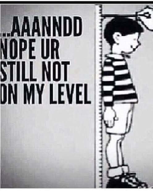 Captain Melvin Seahorse 📘 tweet media