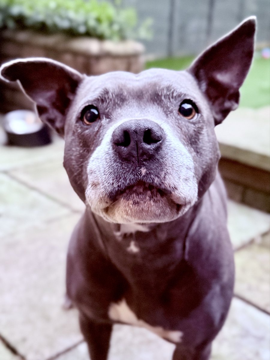 Isa Mary tweet media