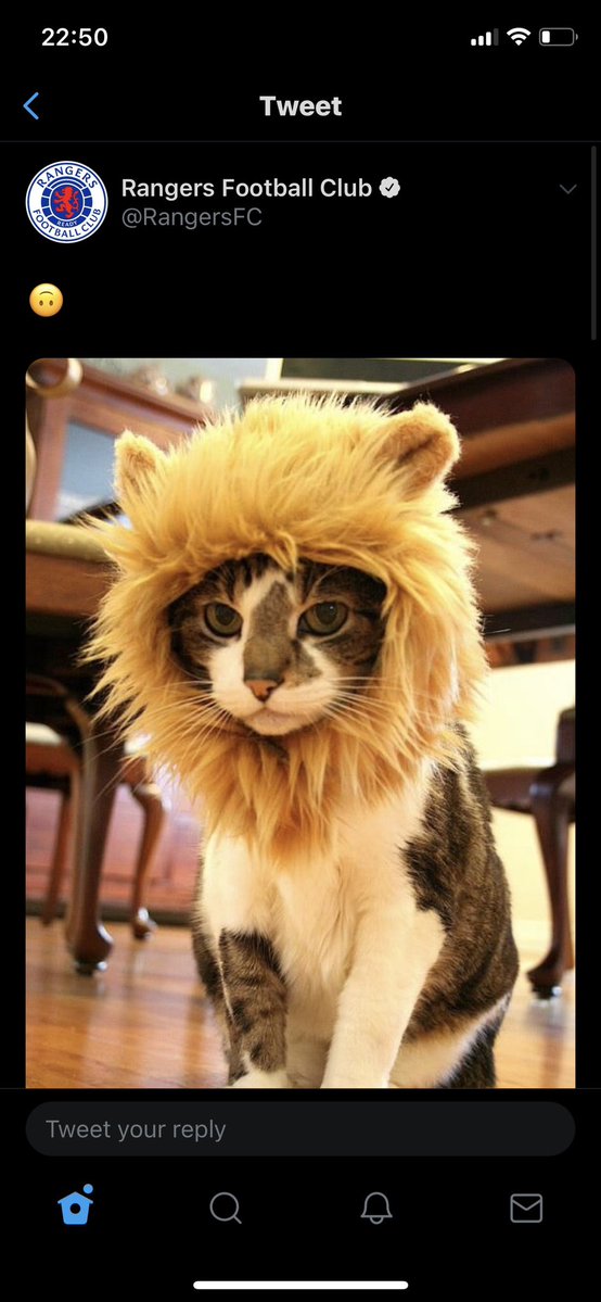 David Field tweet media