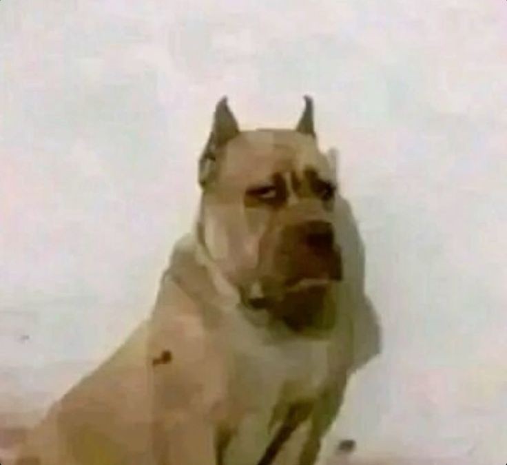 Jer | 🗡️AnniversaryRoyale🛡️ tweet media